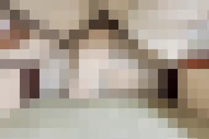 Hazelaar 50 Geldrop thumbnail 27