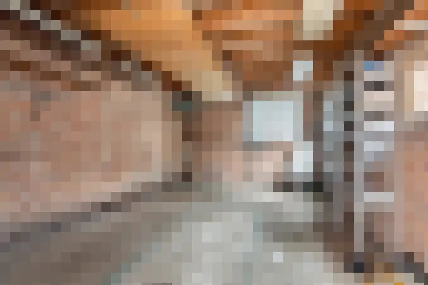 Hazelaar 50 Geldrop thumbnail 28