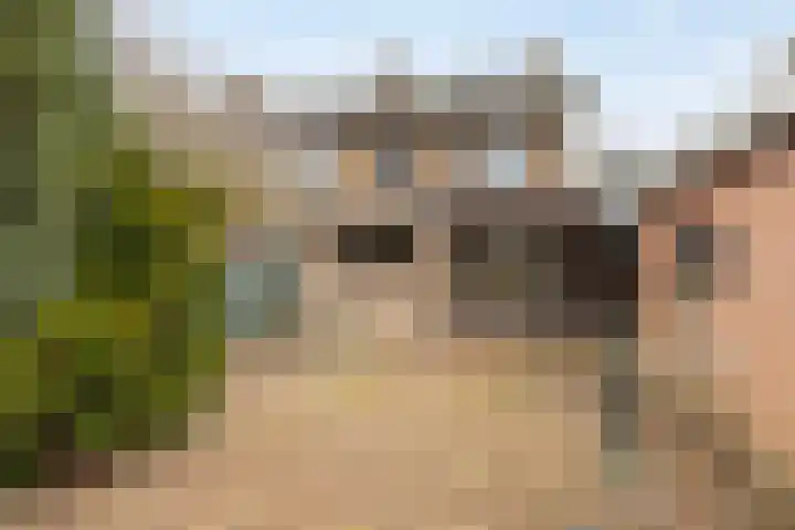 Hazelaar 50 Geldrop thumbnail 32