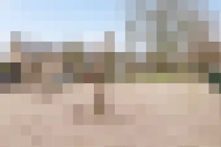 Hazelaar 50 Geldrop thumbnail 33