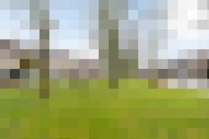 Hazelaar 50 Geldrop thumbnail 34