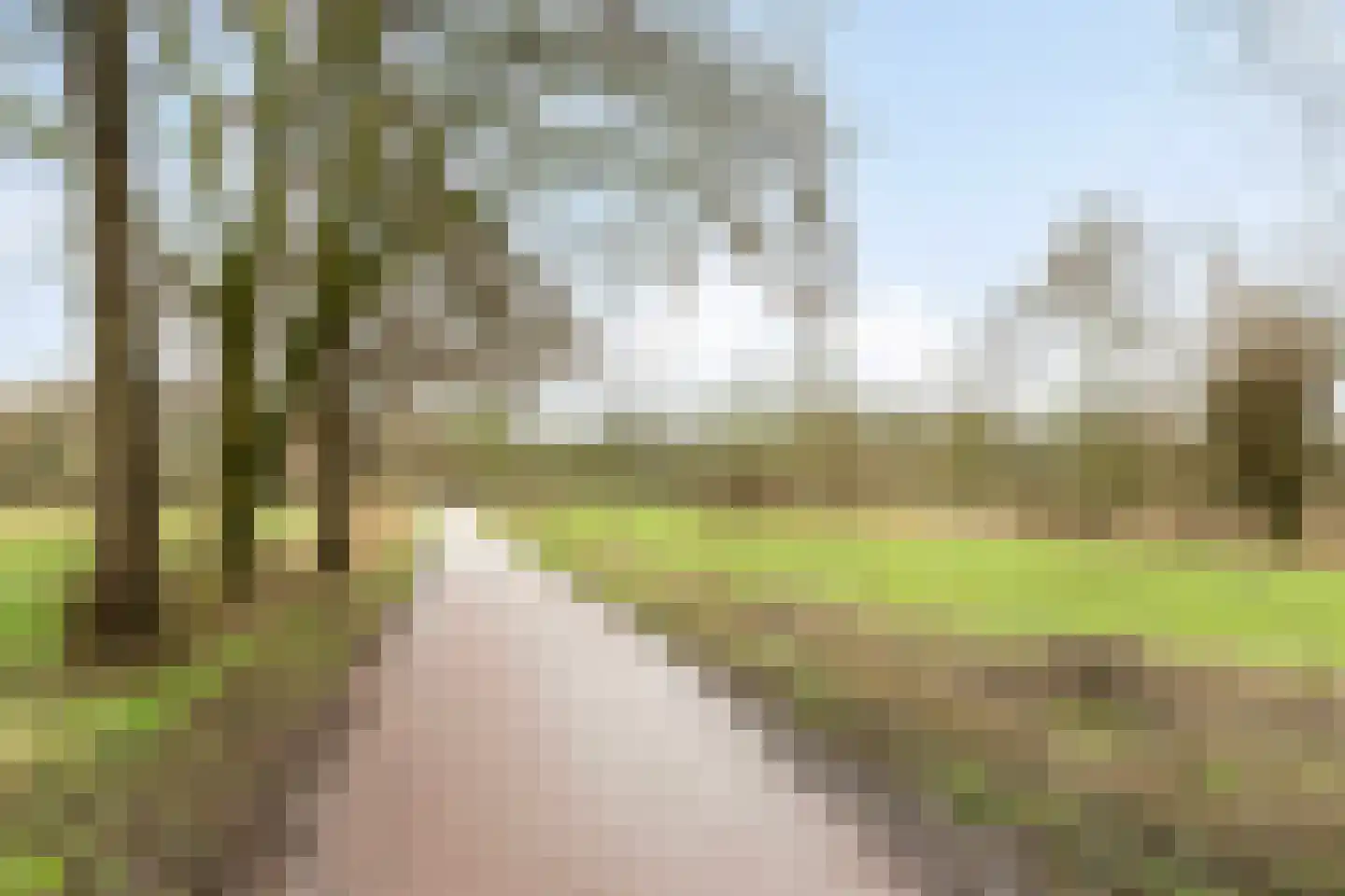 Hazelaar 50 Geldrop thumbnail 36