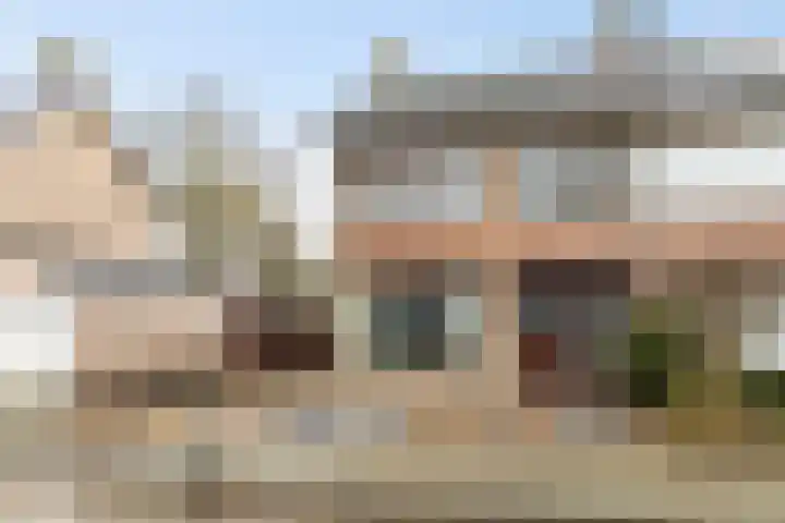 Hazelaar 50 Geldrop thumbnail 6