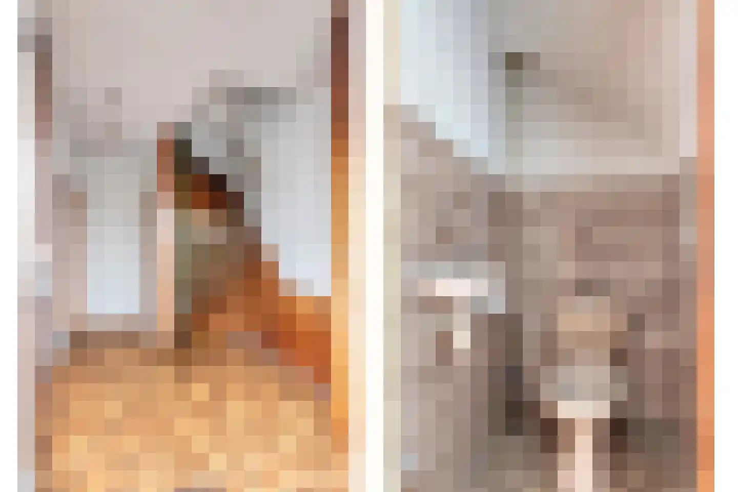 Hazelaar 50 Geldrop thumbnail 8