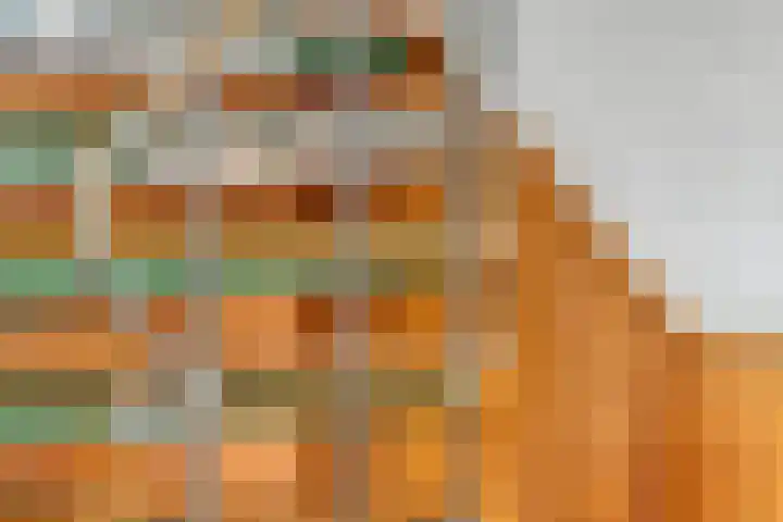 Hazelaar 50 Geldrop thumbnail 9