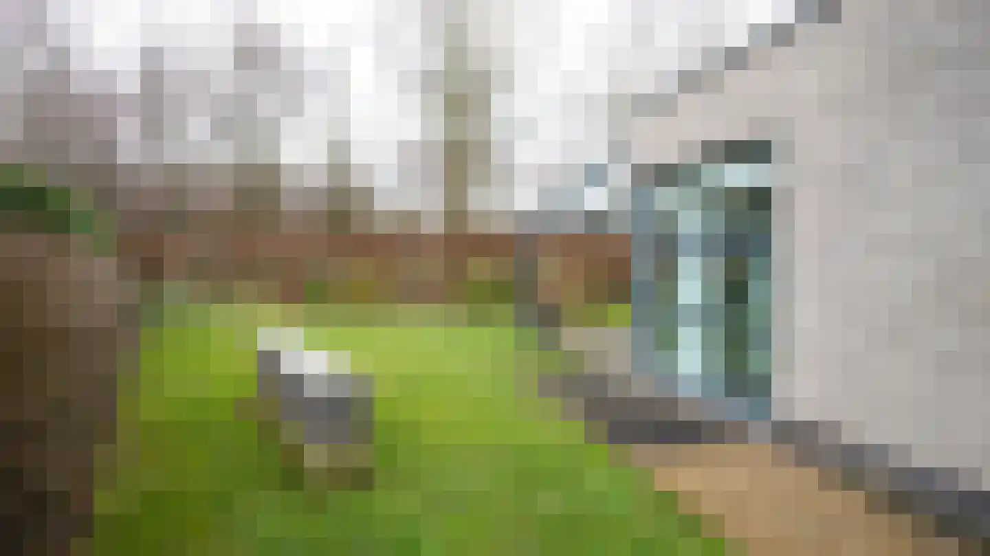 Hazelaar 6 Landgraaf thumbnail 44