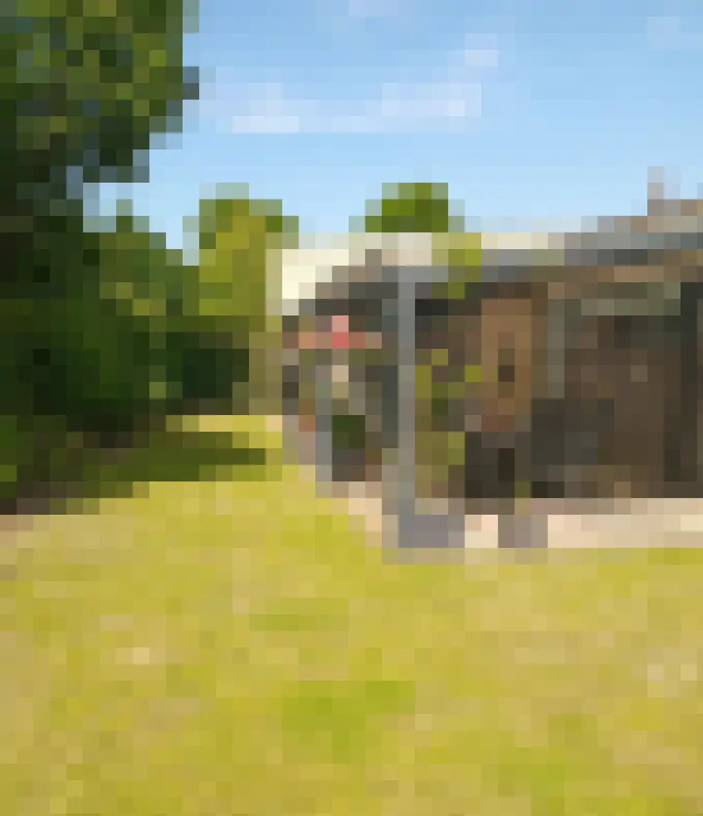 Hazelaar 6 Landgraaf thumbnail 46