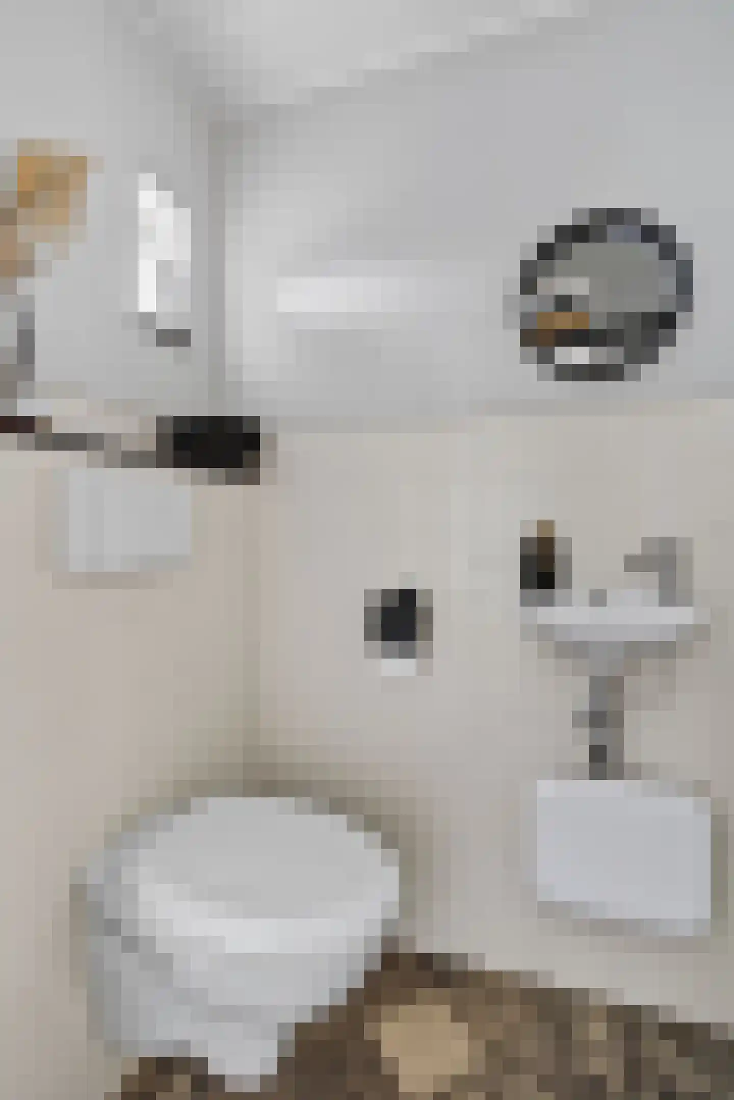 Hazelaar 66 Liessel thumbnail 10