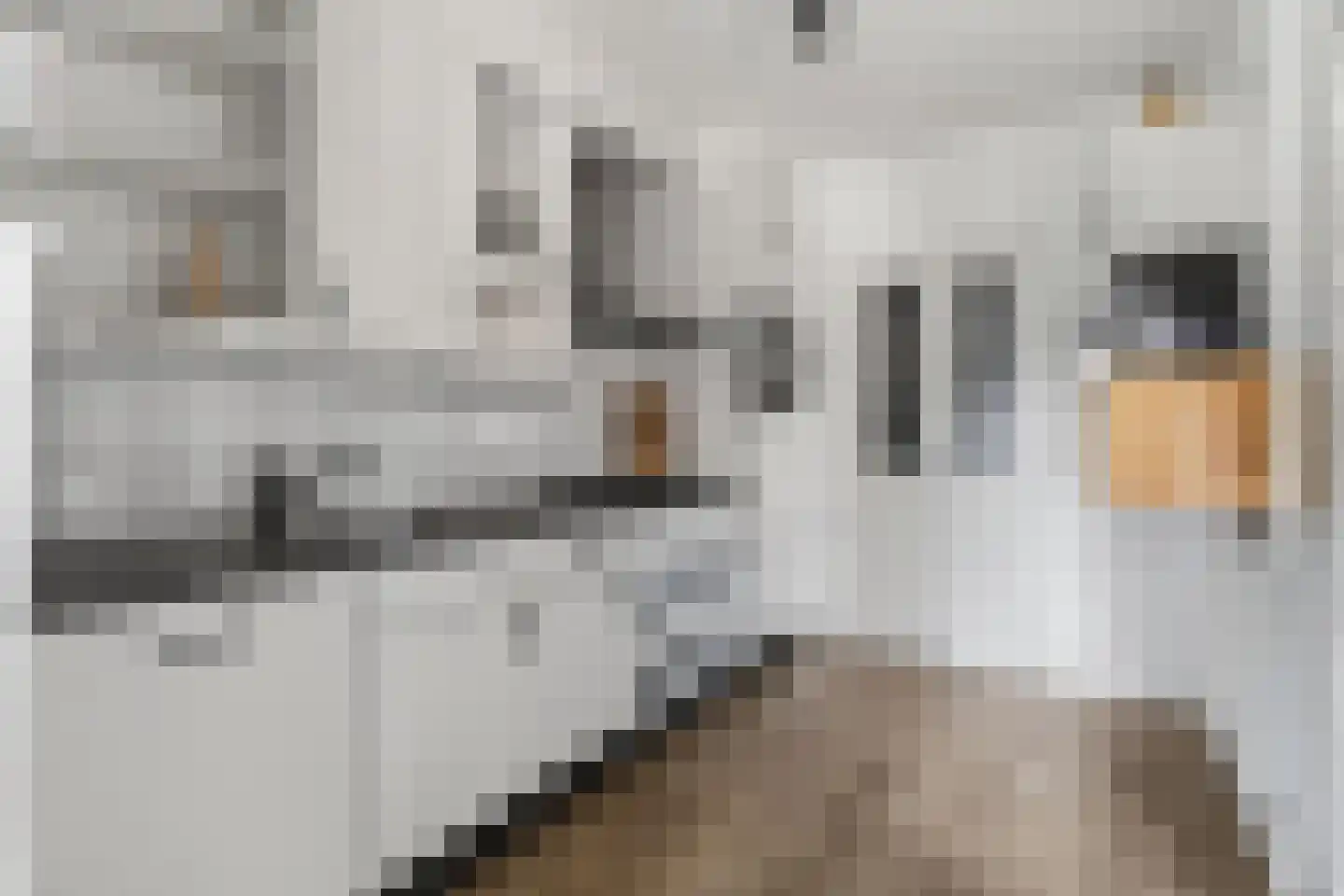 Hazelaar 66 Liessel thumbnail 15