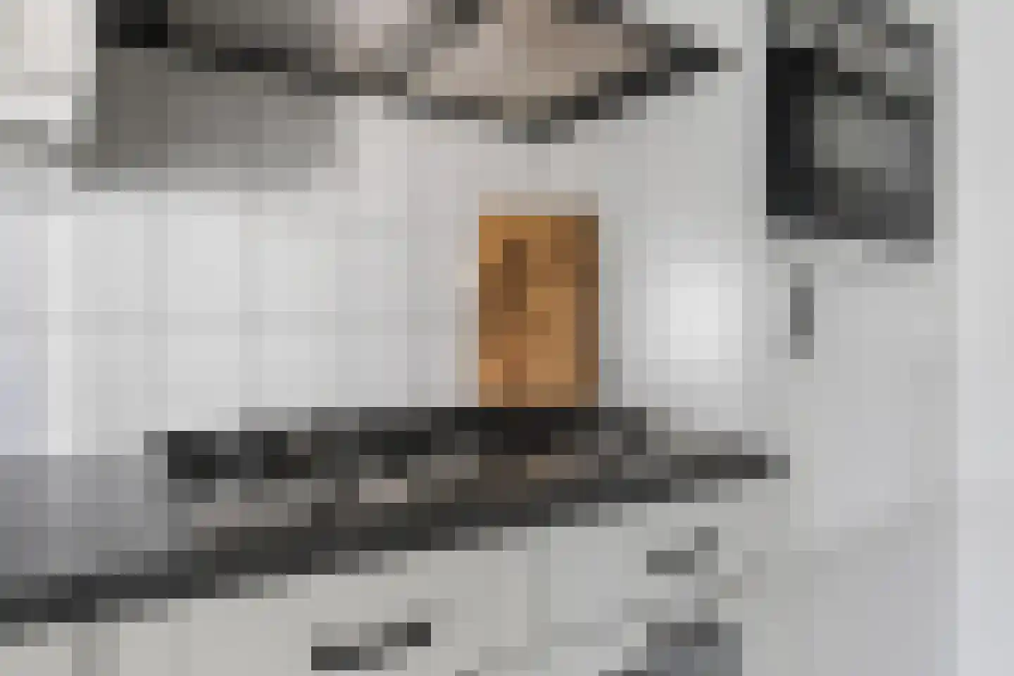 Hazelaar 66 Liessel thumbnail 16