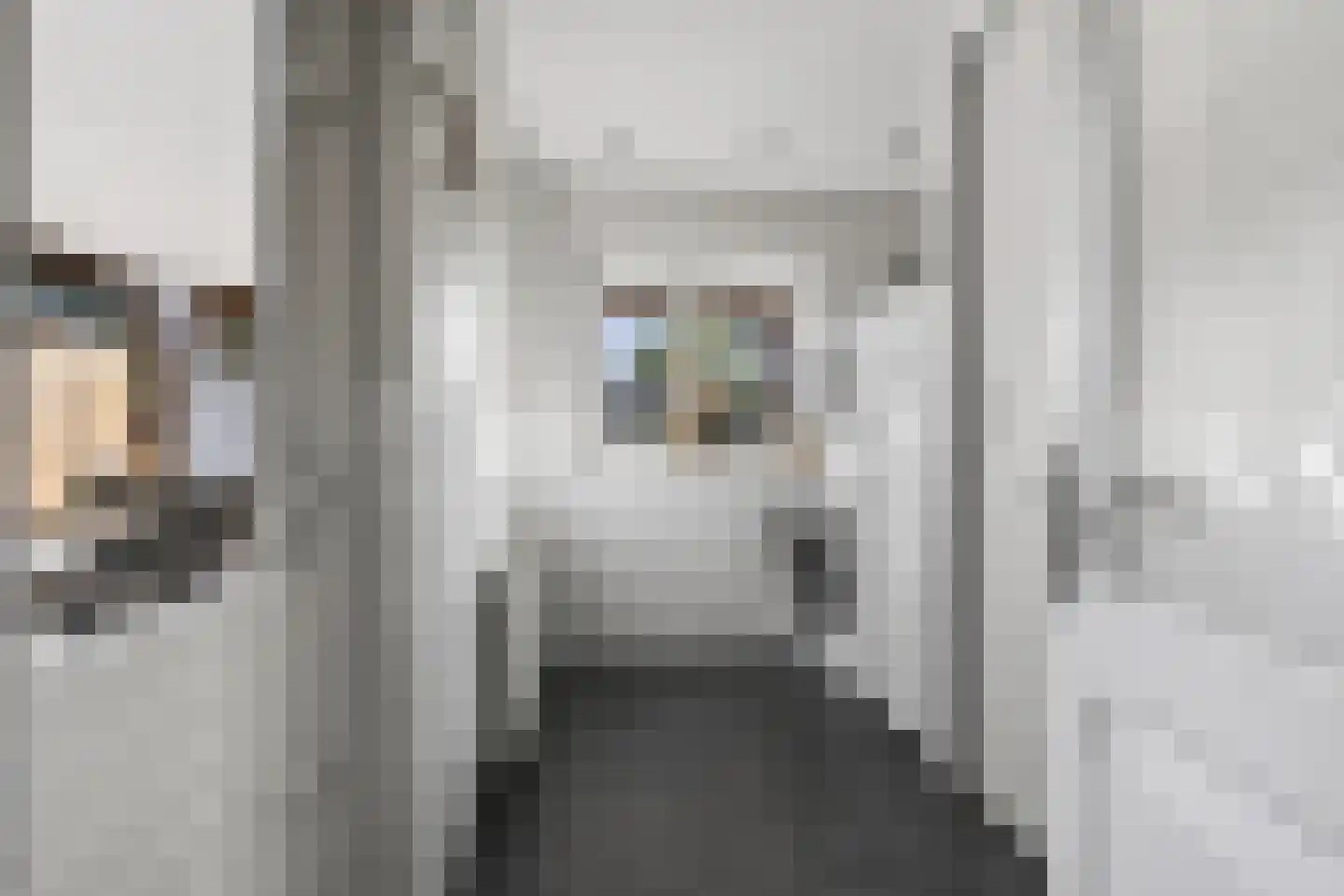 Hazelaar 66 Liessel thumbnail 18