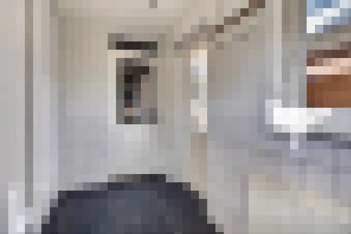 Hazelaar 66 Liessel thumbnail 19
