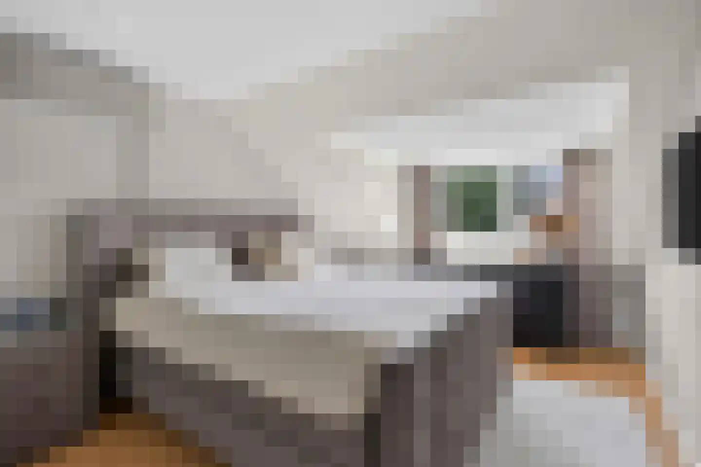 Hazelaar 66 Liessel thumbnail 21