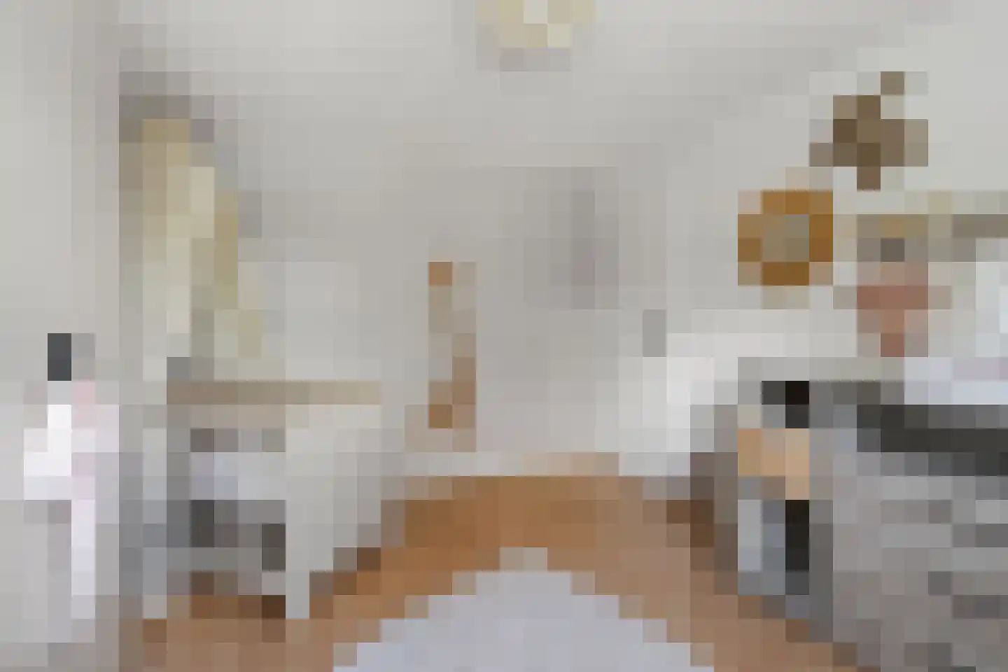 Hazelaar 66 Liessel thumbnail 23