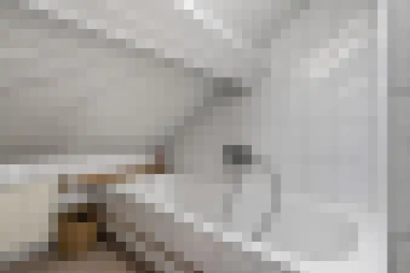 Hazelaar 66 Liessel thumbnail 28