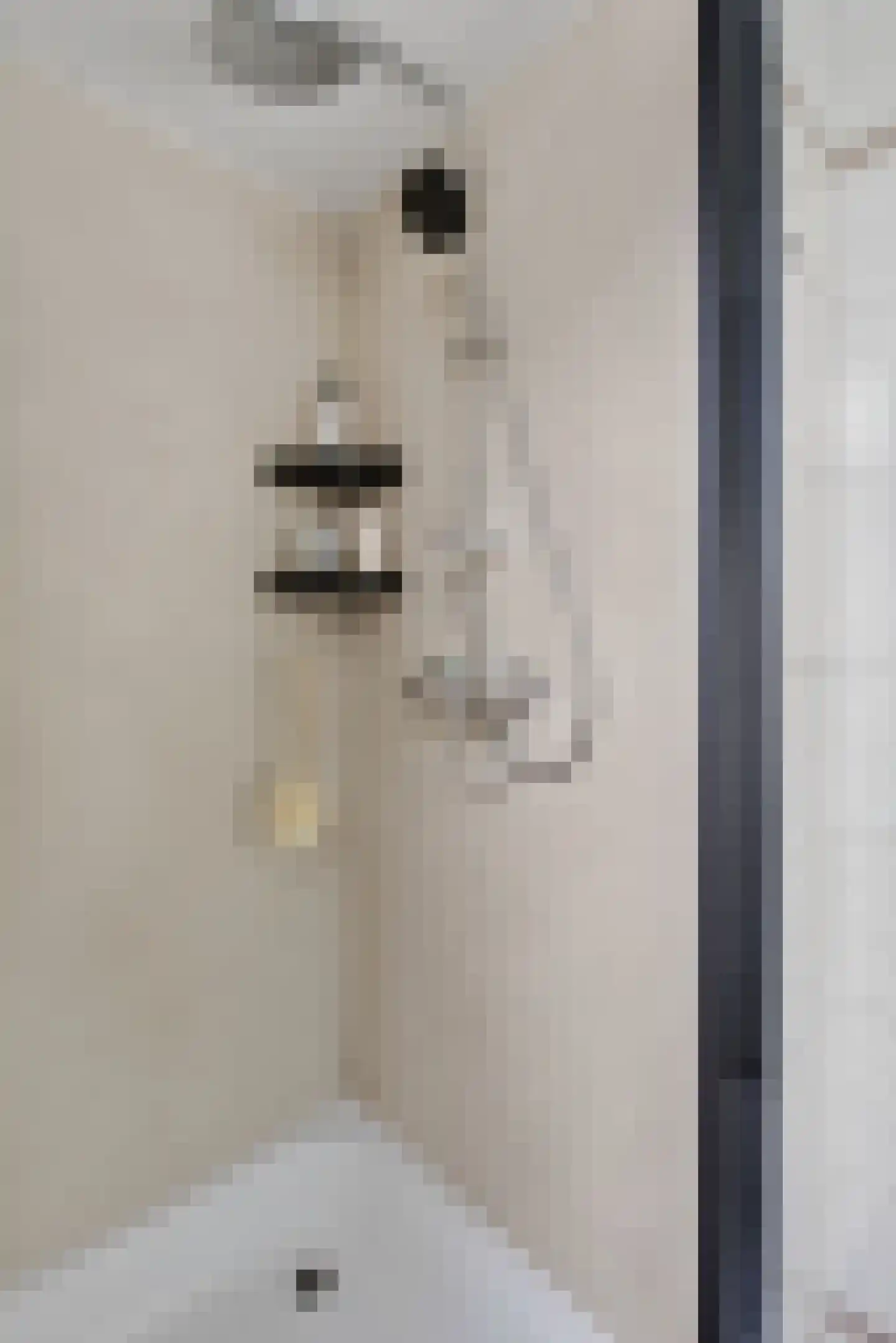Hazelaar 66 Liessel thumbnail 29