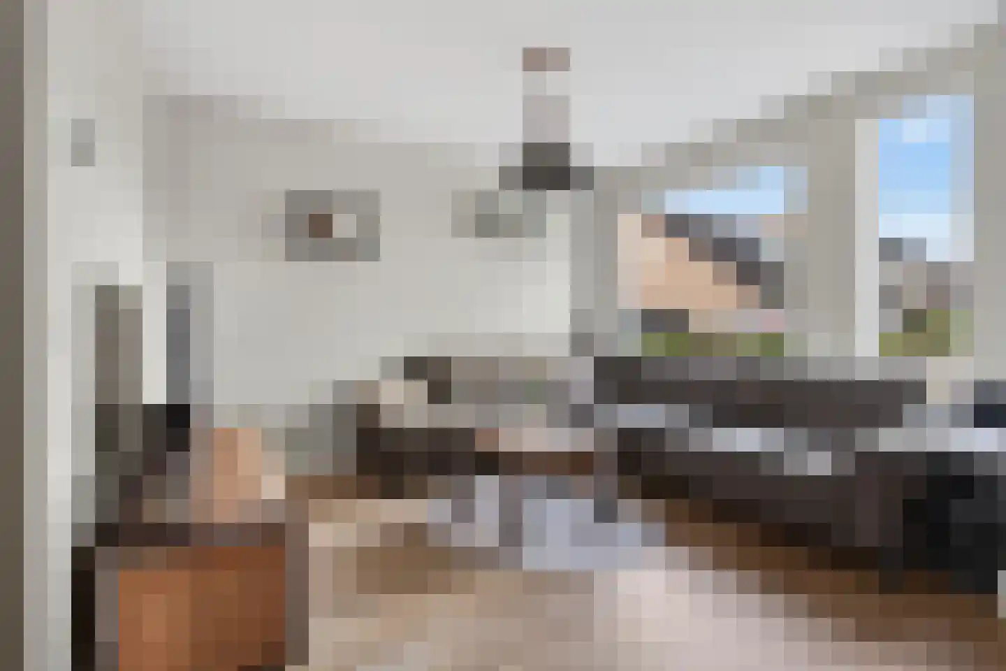 Hazelaar 66 Liessel foto 3