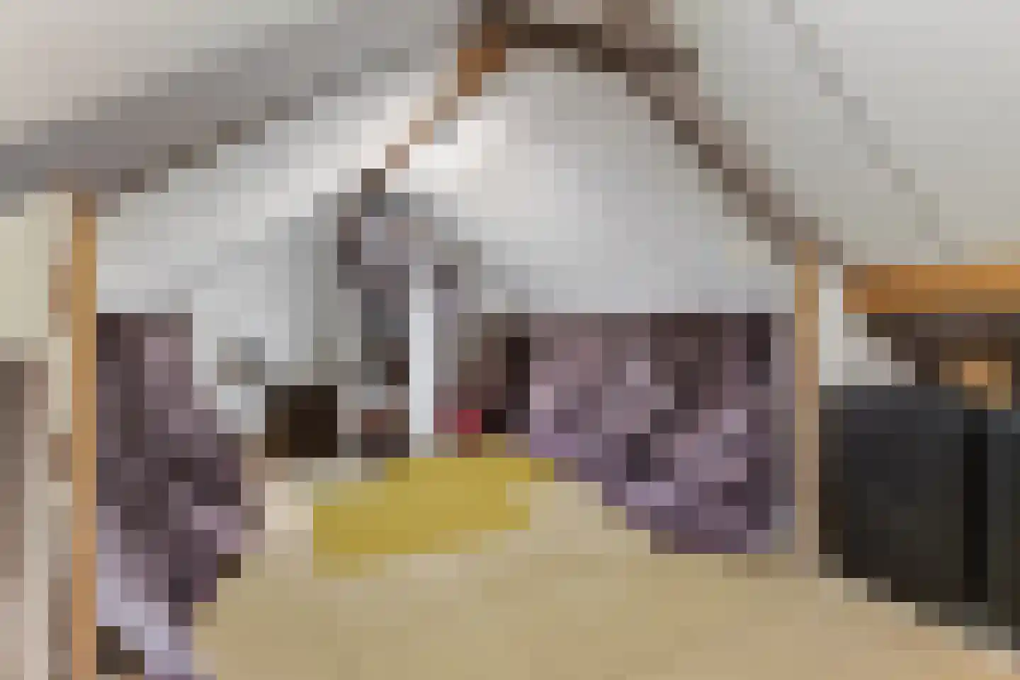 Hazelaar 66 Liessel thumbnail 30