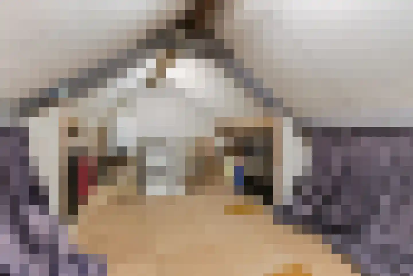 Hazelaar 66 Liessel thumbnail 31