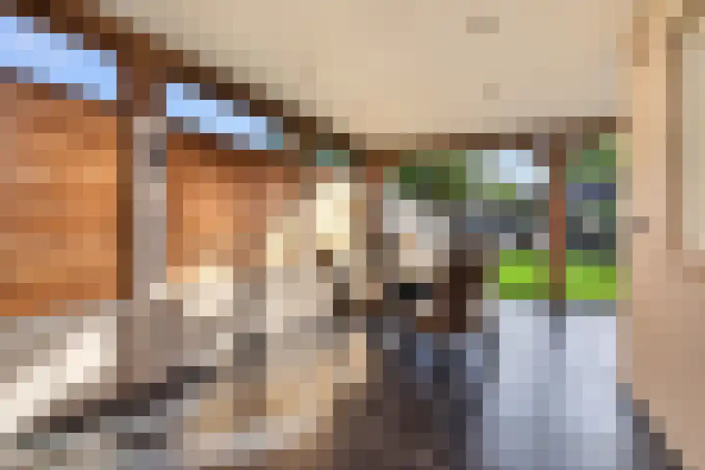 Hazelaar 66 Liessel thumbnail 33