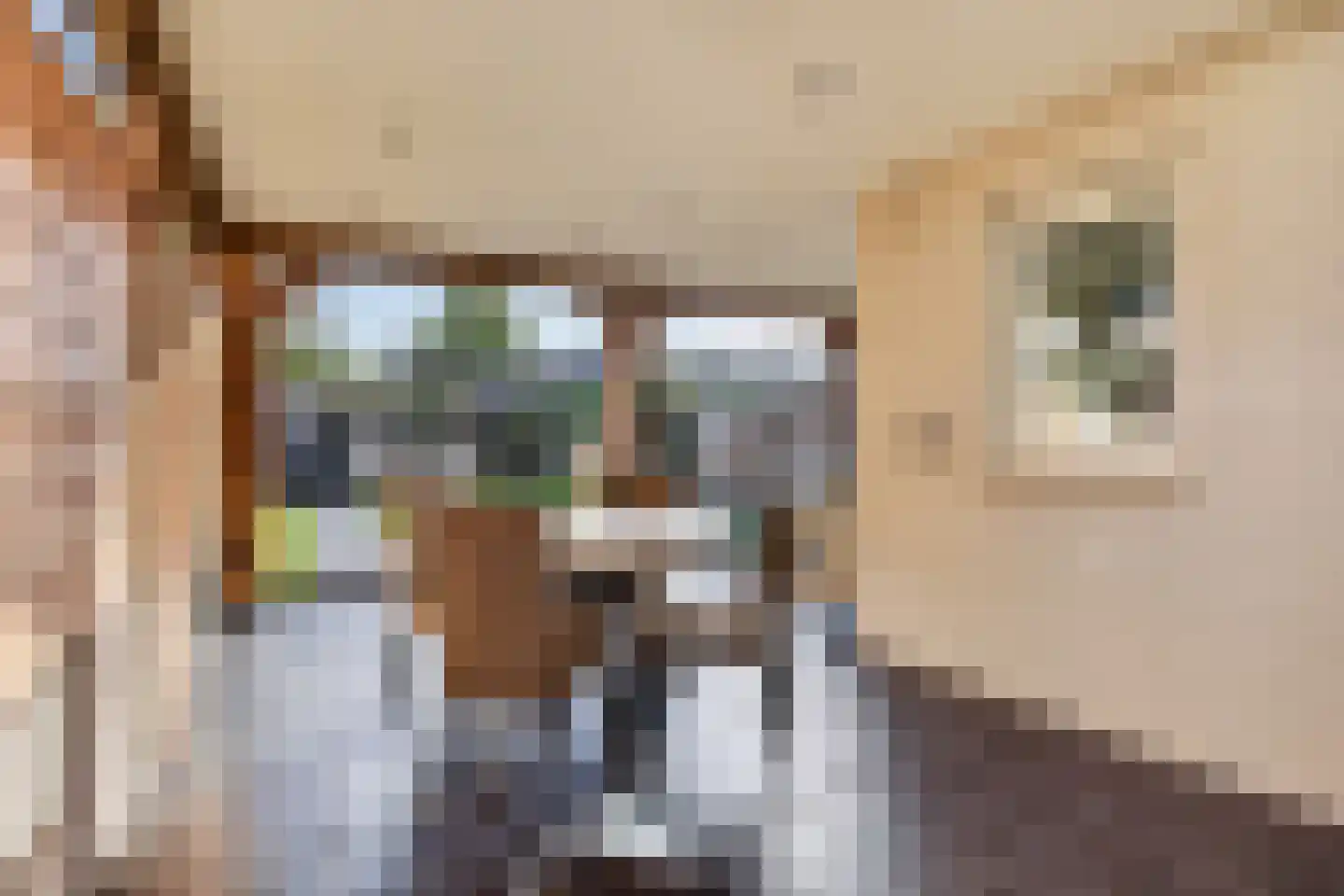 Hazelaar 66 Liessel thumbnail 34
