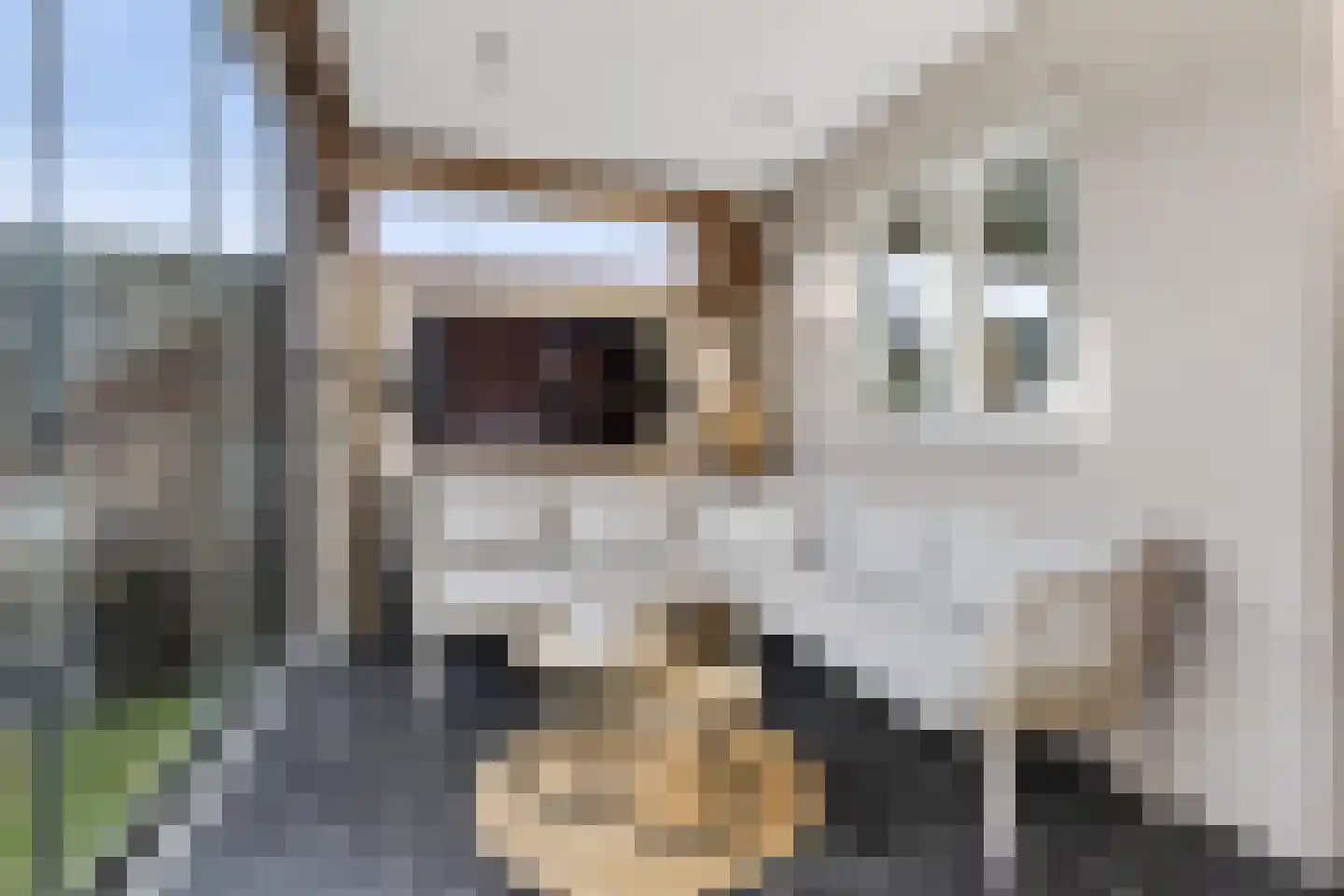 Hazelaar 66 Liessel thumbnail 35