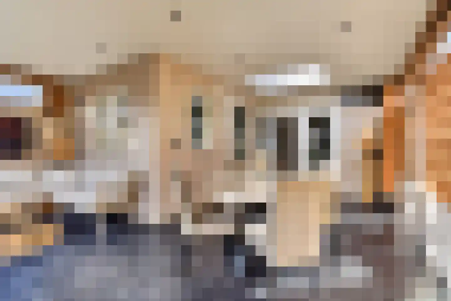 Hazelaar 66 Liessel thumbnail 36