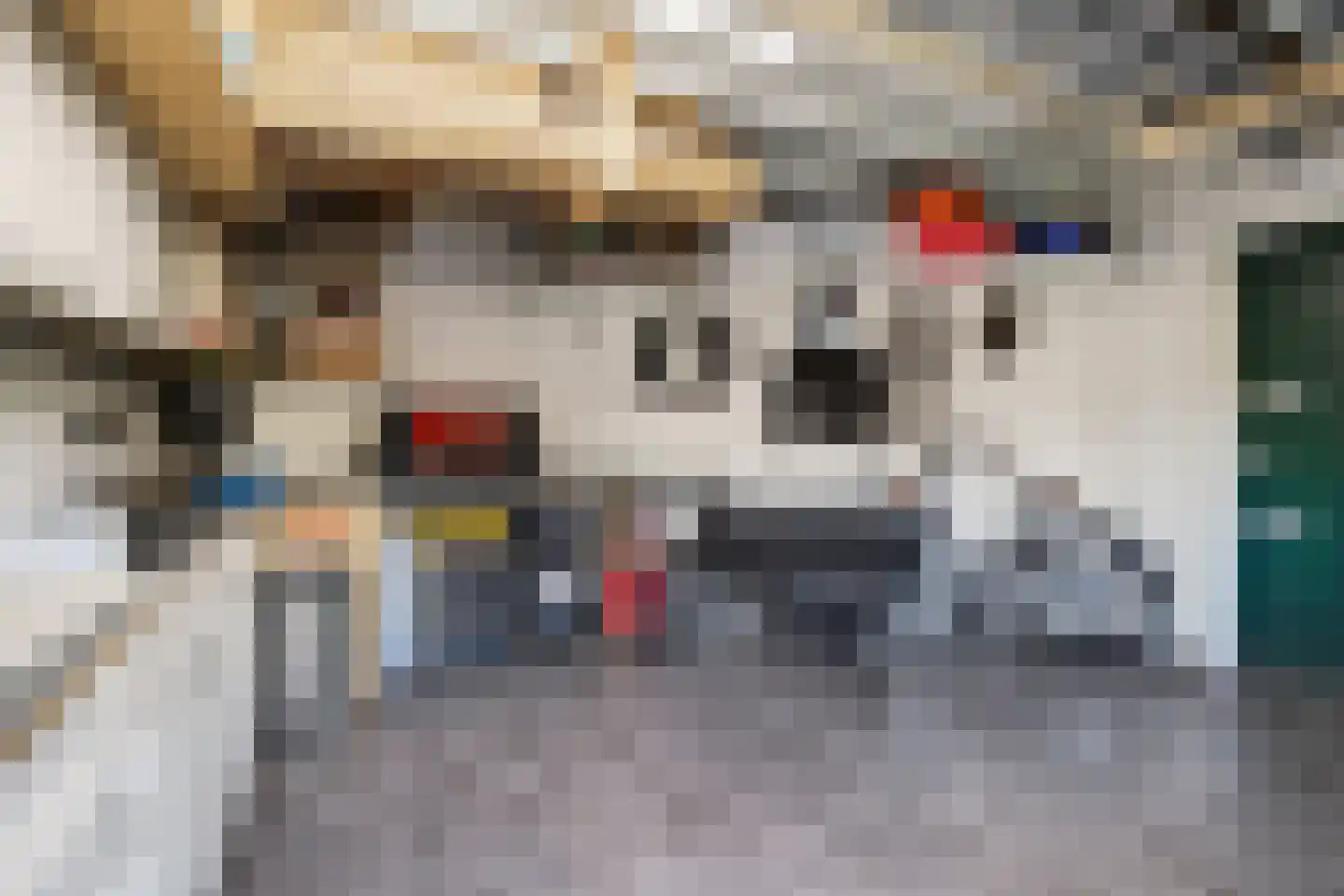 Hazelaar 66 Liessel thumbnail 41
