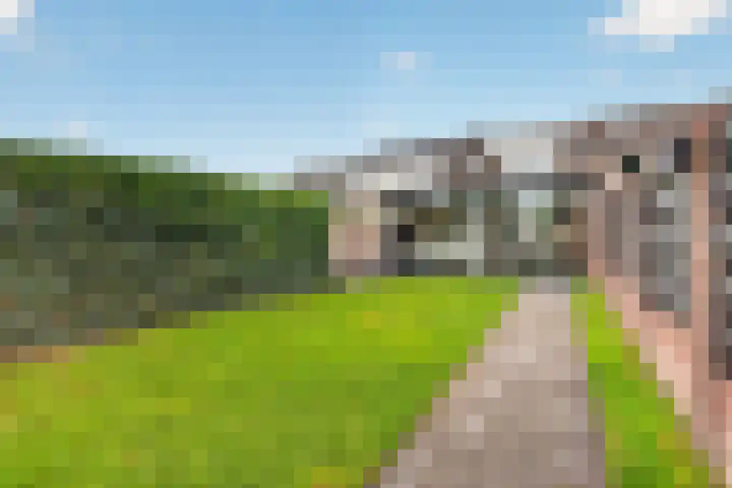Hazelaar 66 Liessel thumbnail 6
