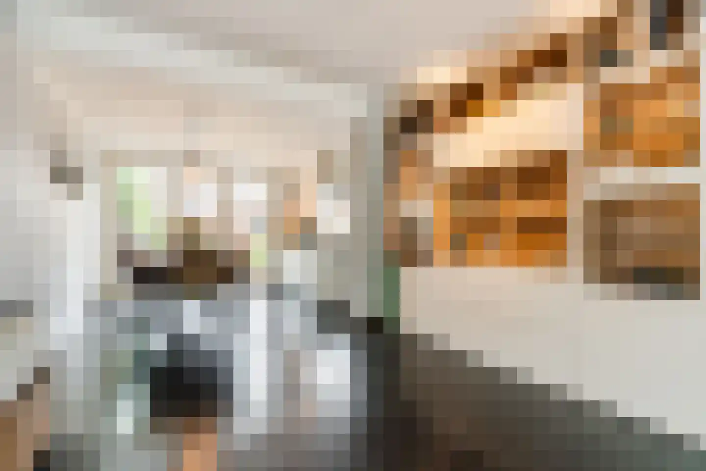 Hazelaar 69 Geldrop thumbnail 11
