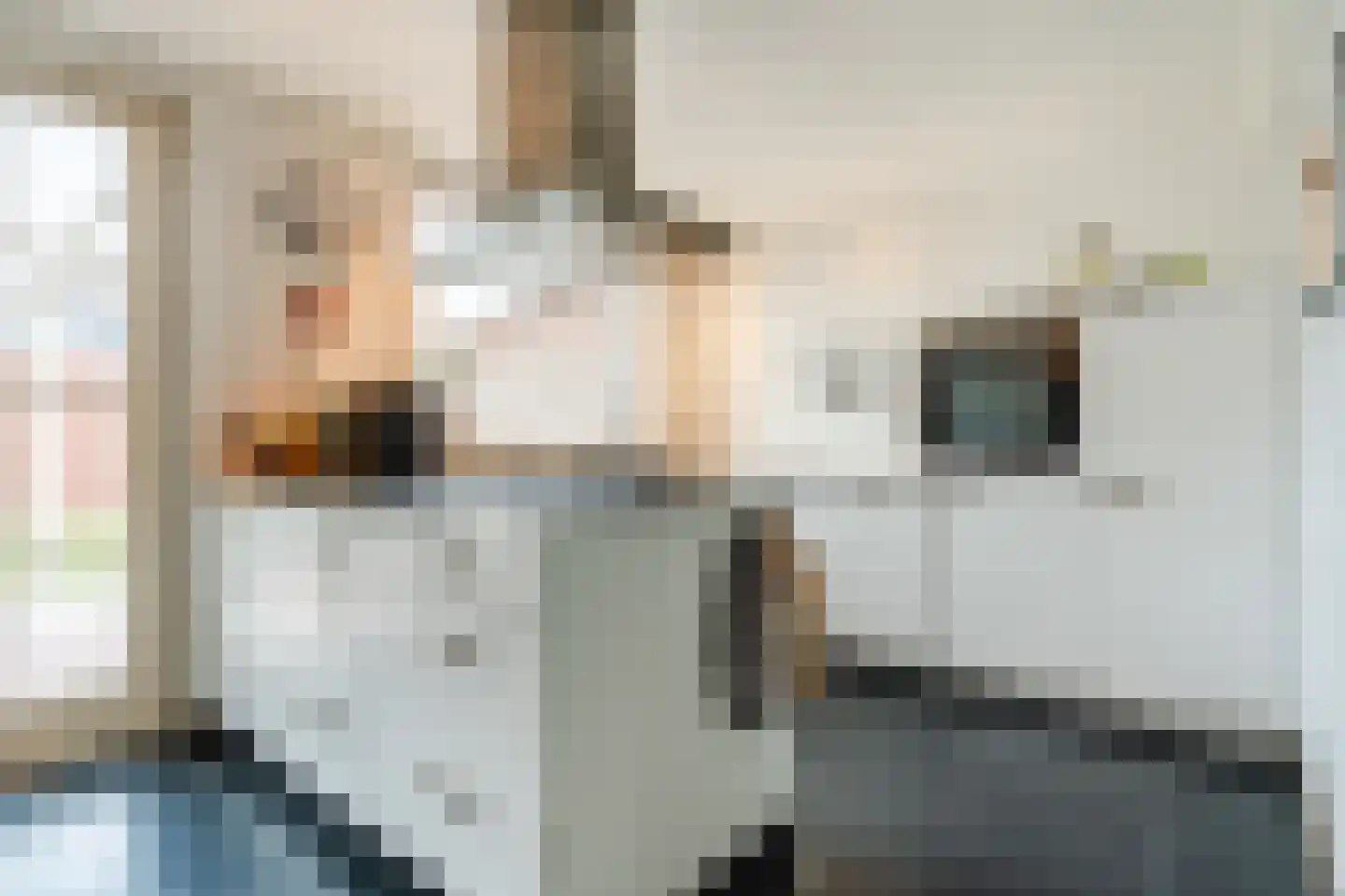Hazelaar 69 Geldrop thumbnail 17