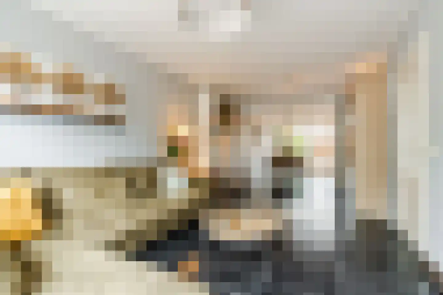 Hazelaar 69 Geldrop thumbnail 8