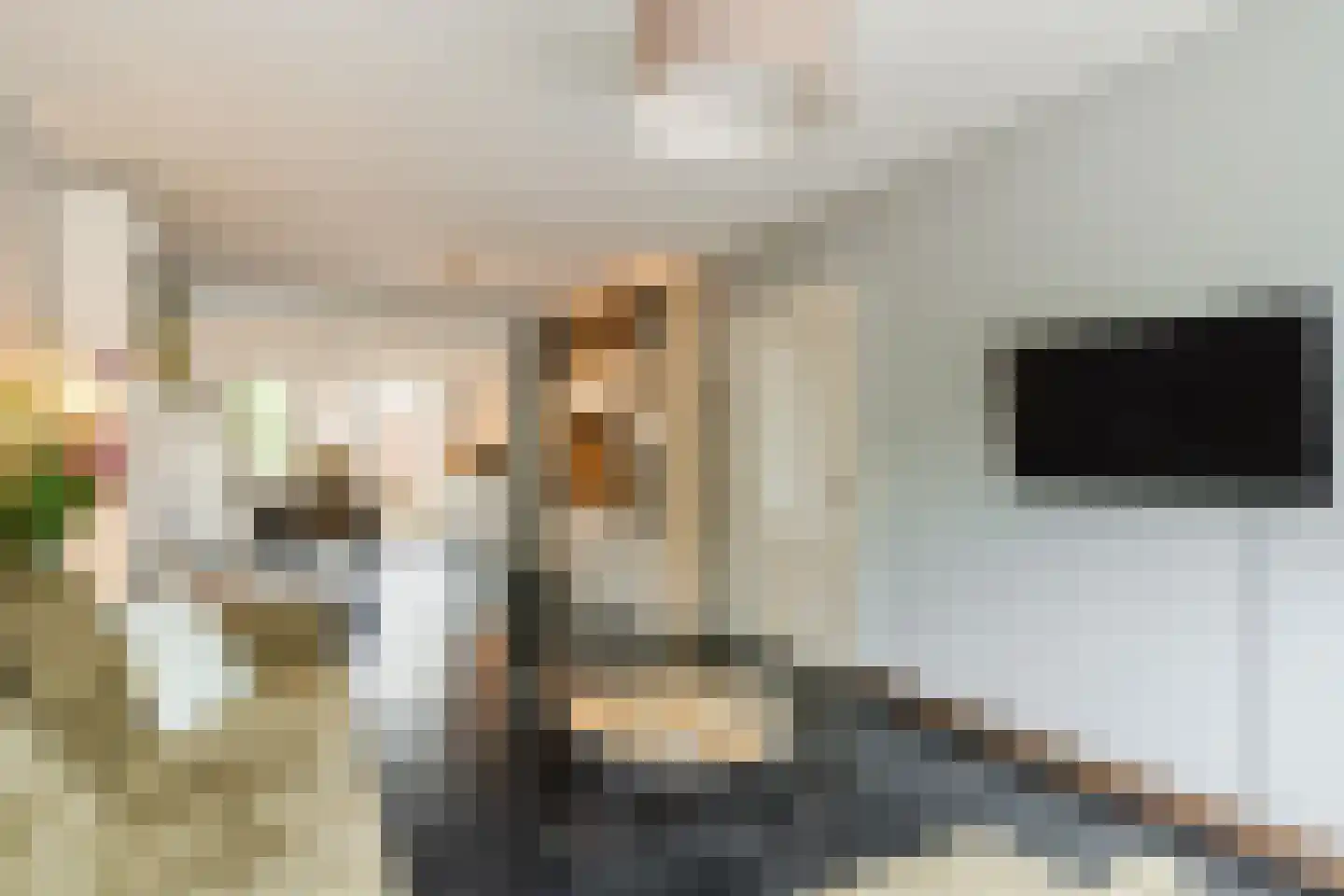 Hazelaar 69 Geldrop thumbnail 9