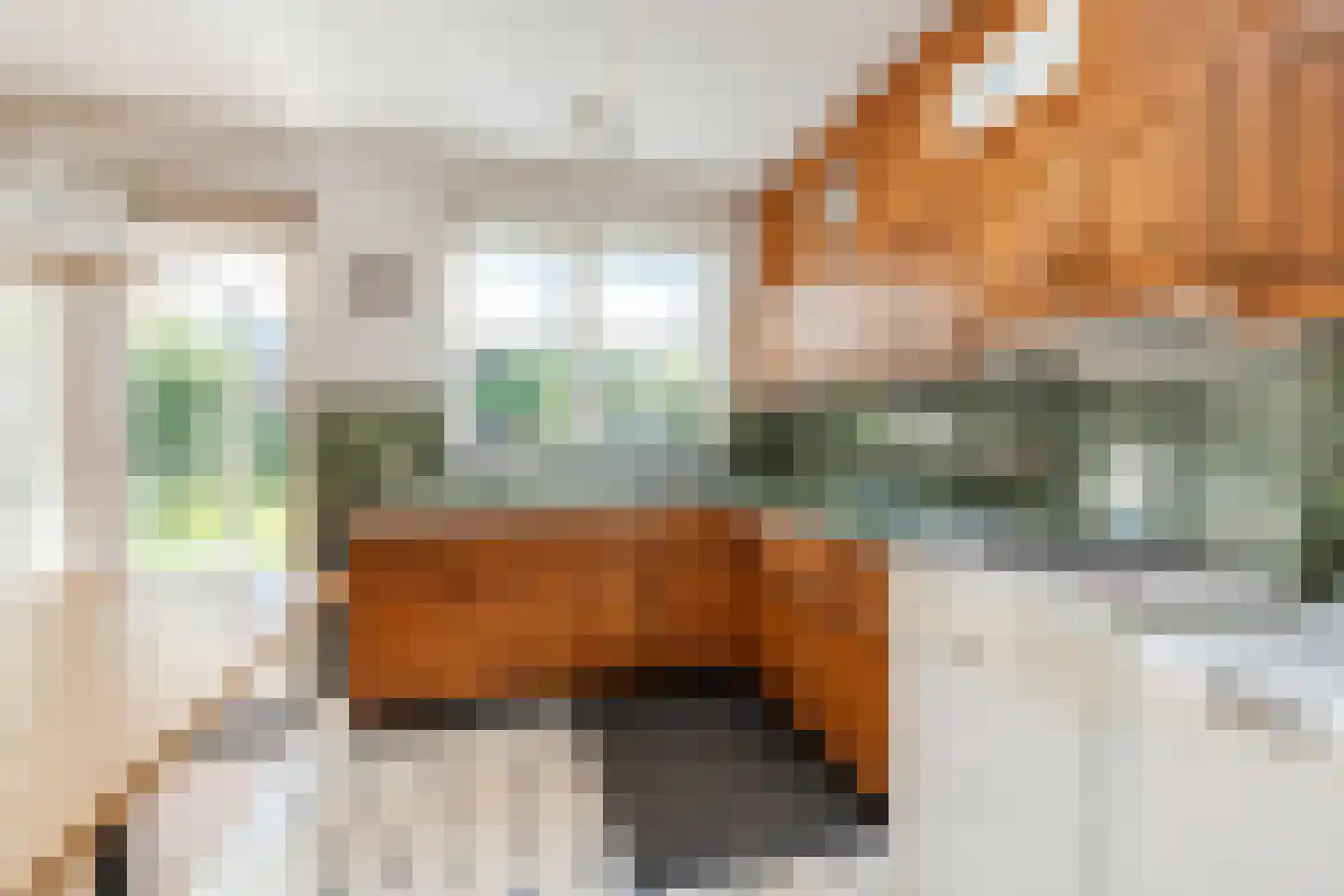 Hazelaar 75 Geldrop thumbnail 20