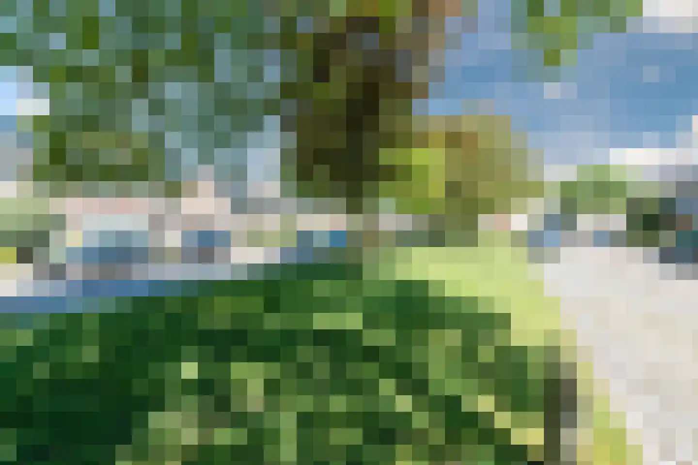 Hazelaar 75 Geldrop thumbnail 34