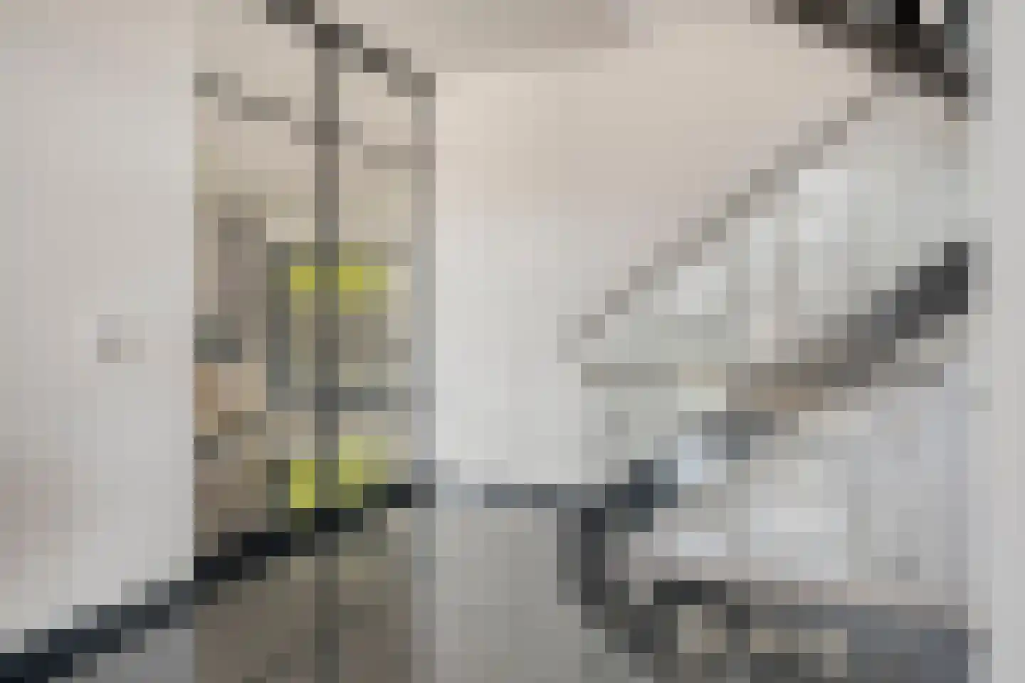 Hazelaar 8 Landgraaf thumbnail 10