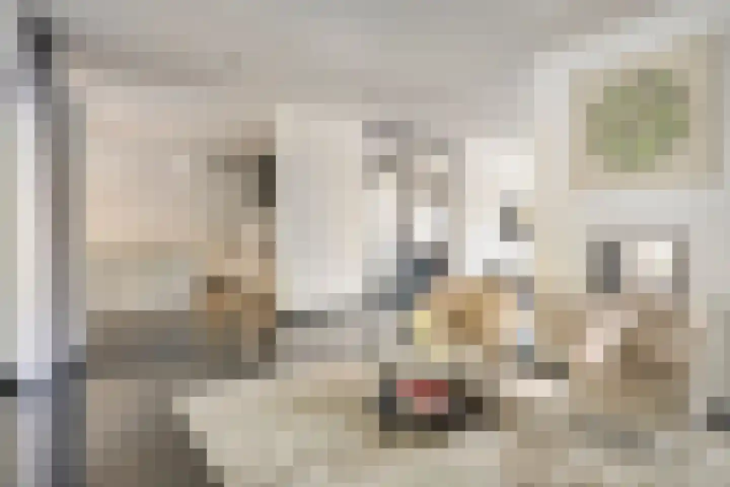 Hazelaar 8 Landgraaf thumbnail 14
