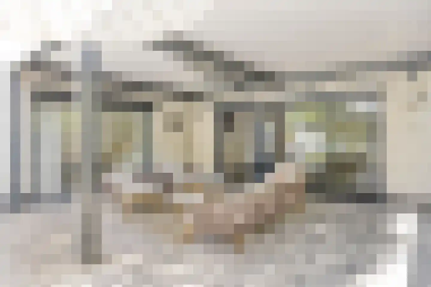 Hazelaar 8 Landgraaf thumbnail 15