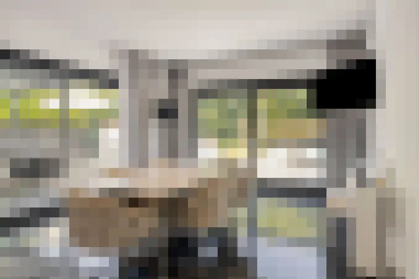 Hazelaar 8 Landgraaf thumbnail 19
