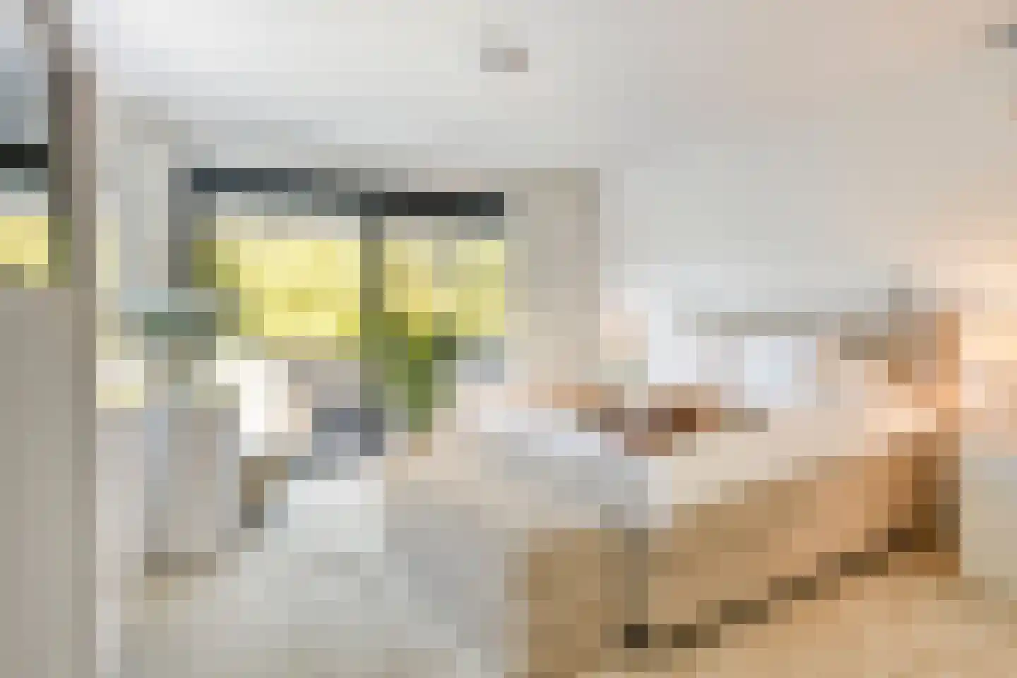 Hazelaar 8 Landgraaf thumbnail 27