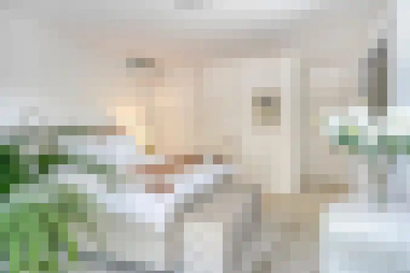 Hazelaar 8 Landgraaf thumbnail 29