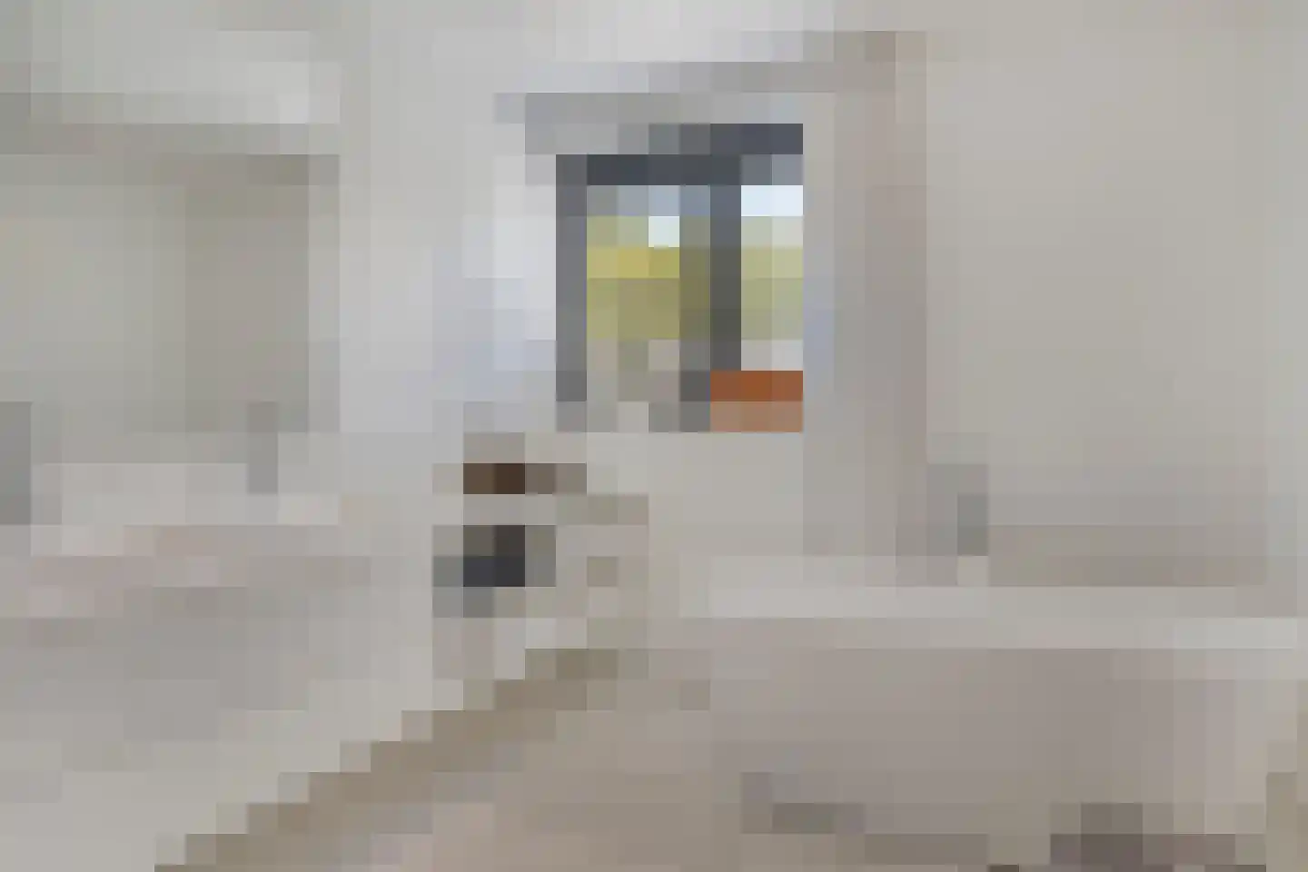 Hazelaar 8 Landgraaf thumbnail 33