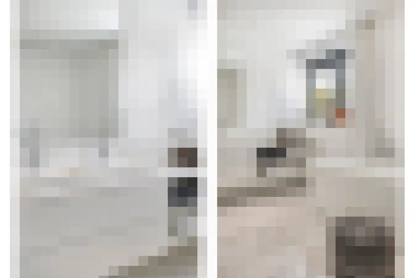 Hazelaar 8 Landgraaf thumbnail 36