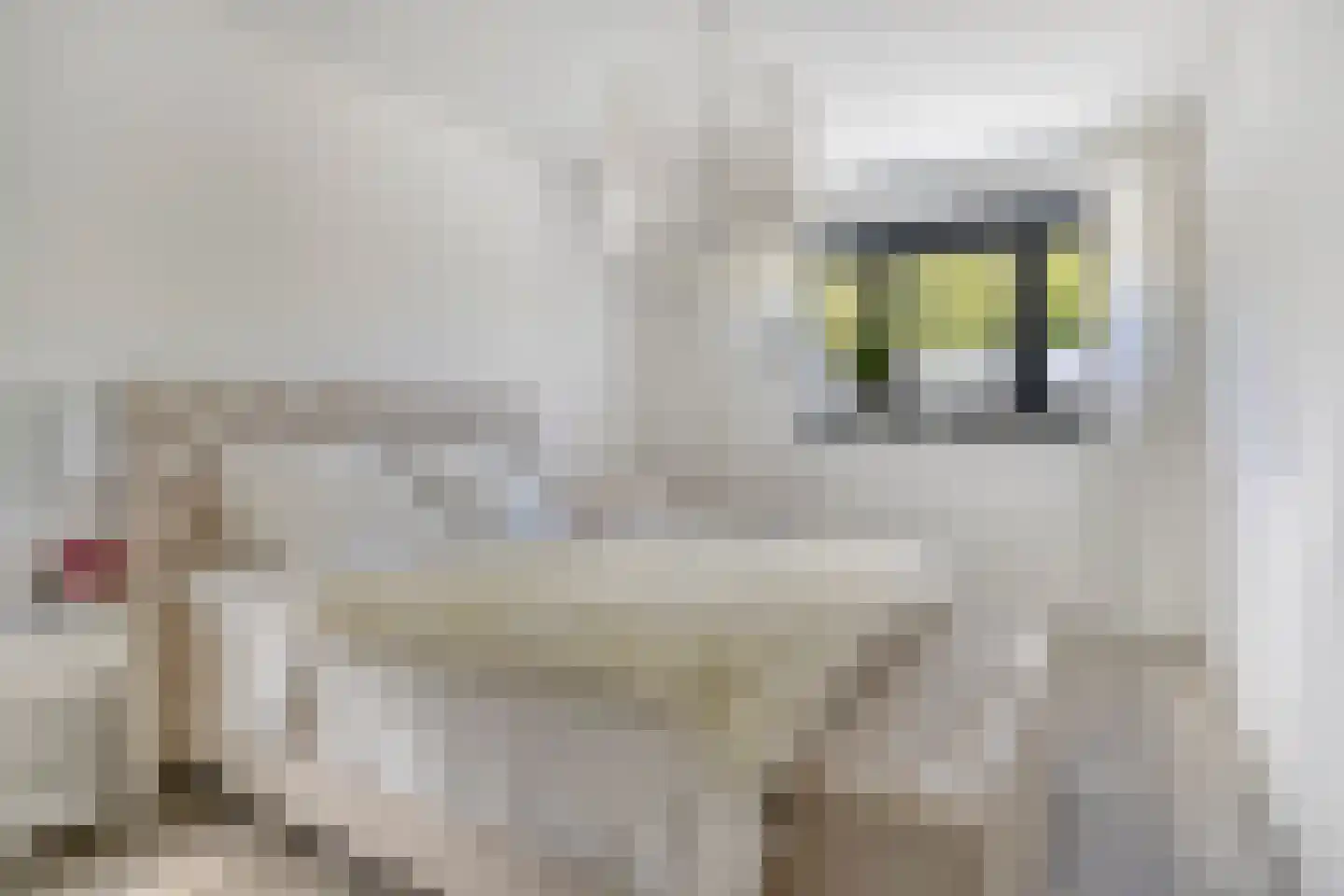 Hazelaar 8 Landgraaf thumbnail 38
