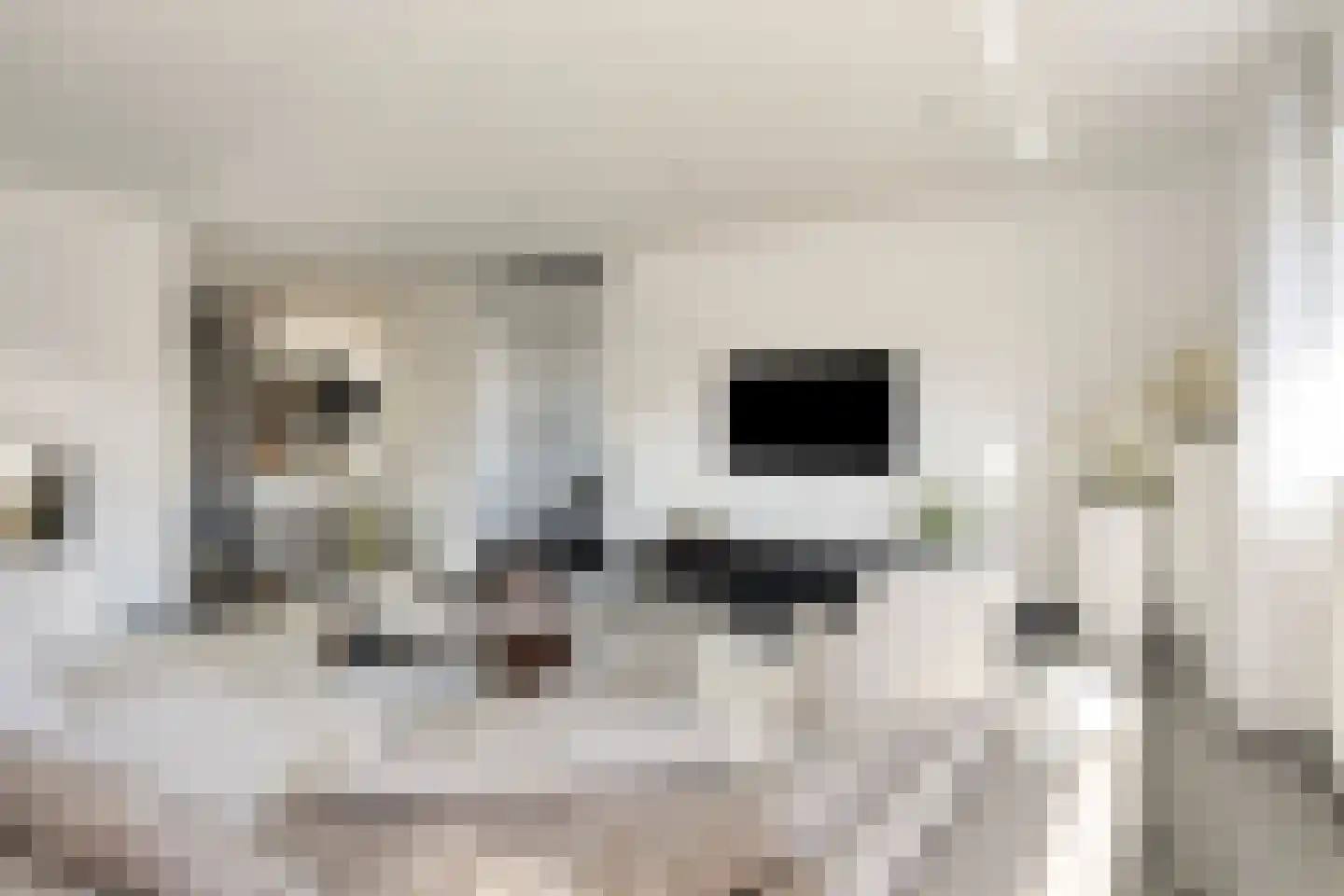 Hazelaar 8 Landgraaf thumbnail 4