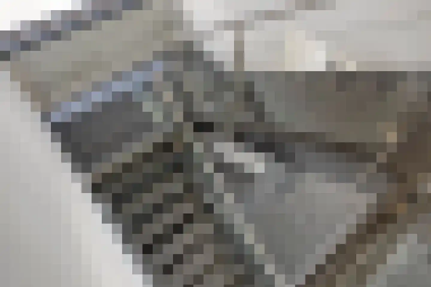 Hazelaar 8 Landgraaf thumbnail 44