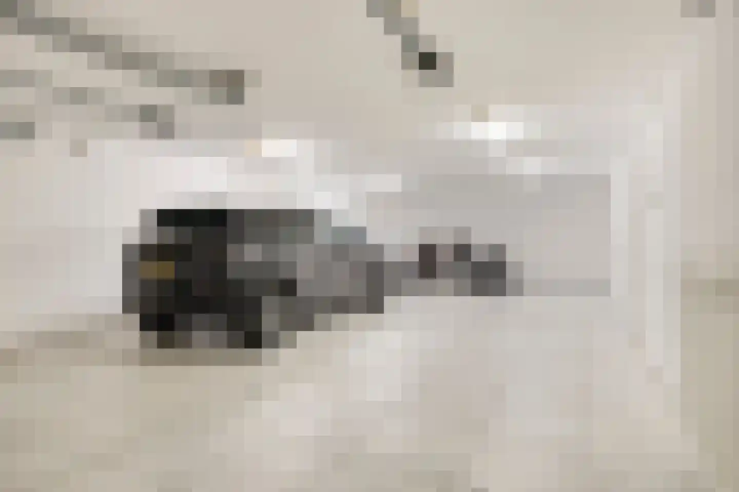 Hazelaar 8 Landgraaf thumbnail 48