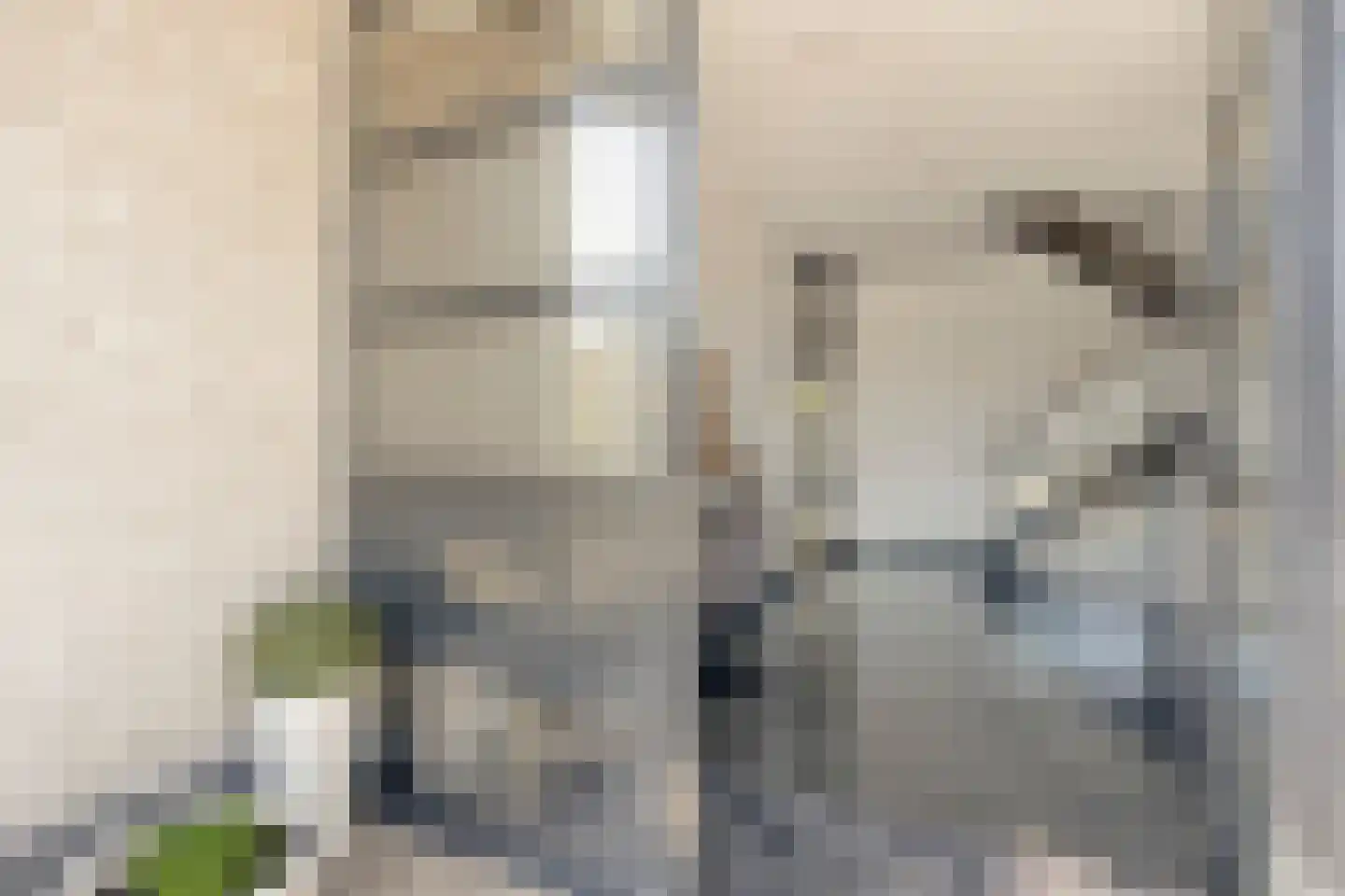 Hazelaar 8 Landgraaf thumbnail 9