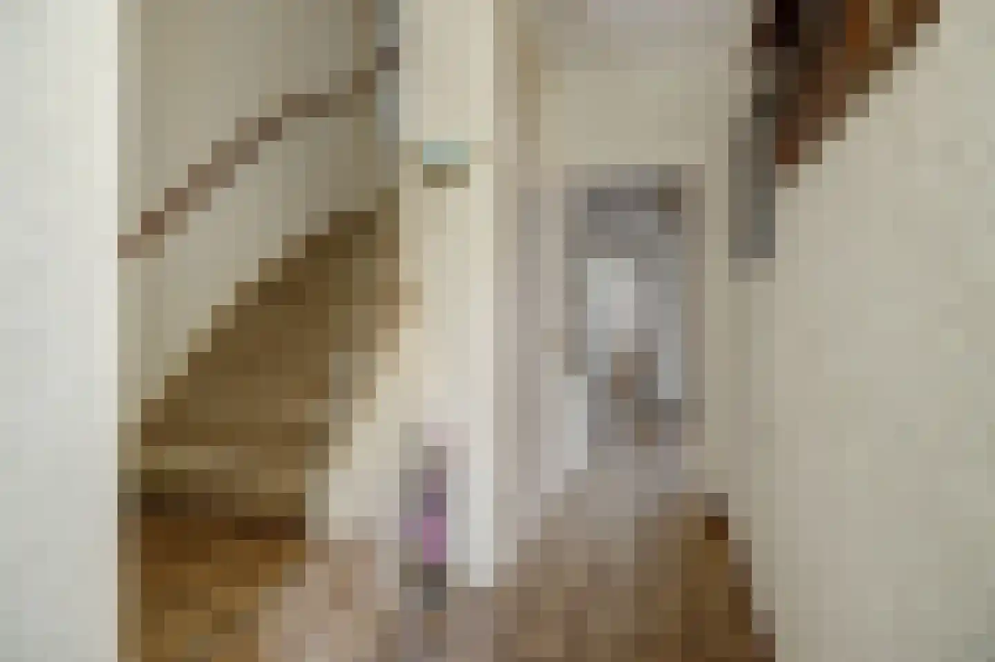 Hazelaar 88 Liessel thumbnail 11