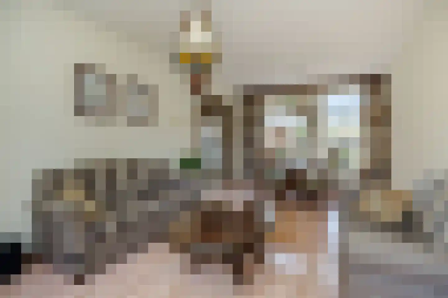 Hazelaar 88 Liessel thumbnail 14